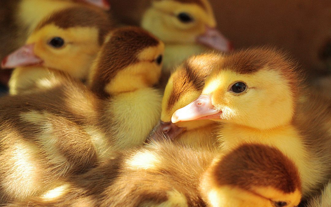 I’m a Bristol copywriter, can I have a job?