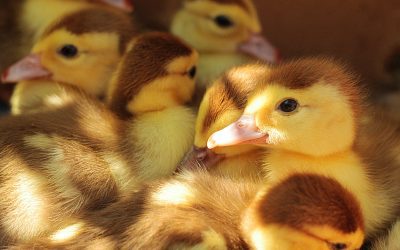 I’m a Bristol copywriter, can I have a job?