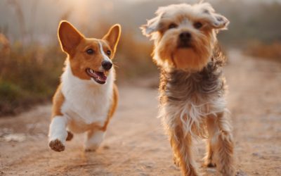 SEO Copywriting – Our Approach