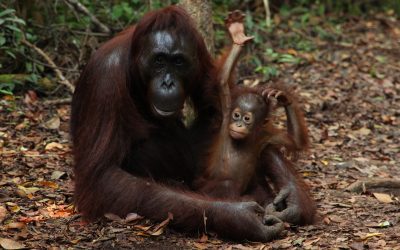 Bristol copywriters unite!