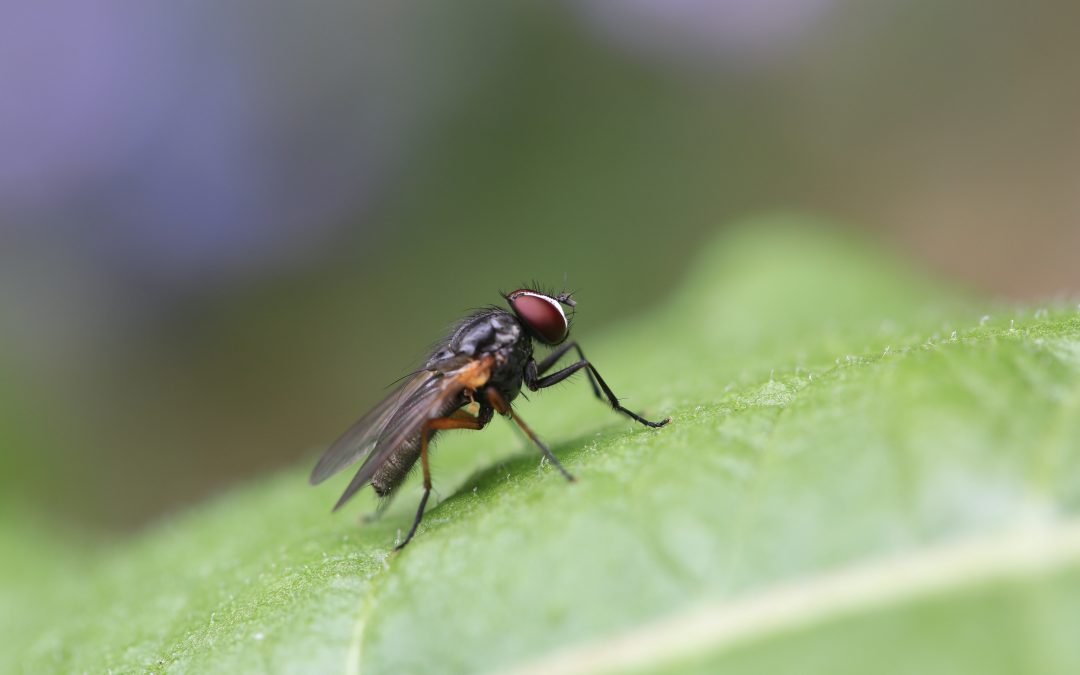 5 top copywriting tips for dealing with coronavirus